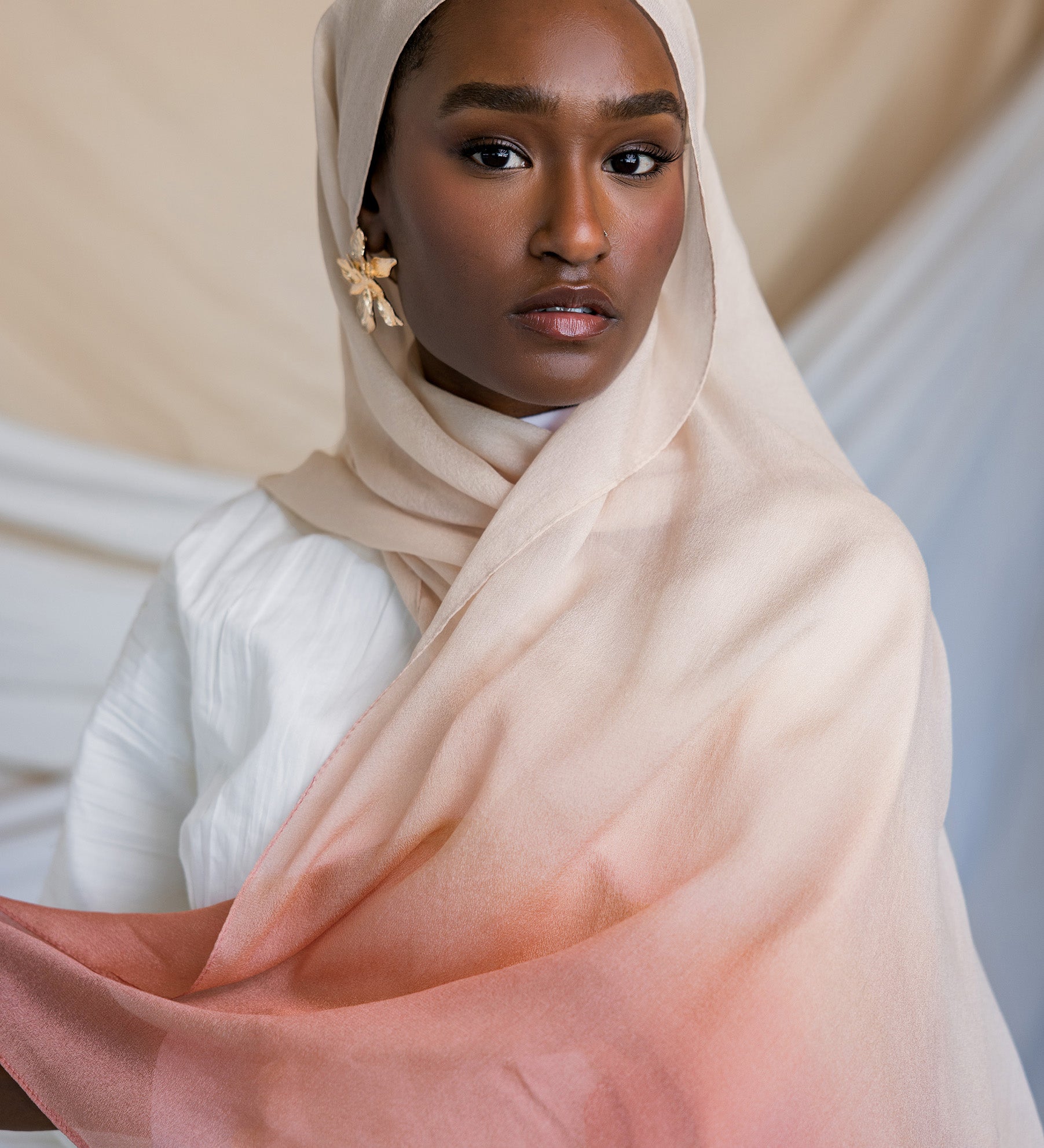 Blush Ombre Silk Chiffon